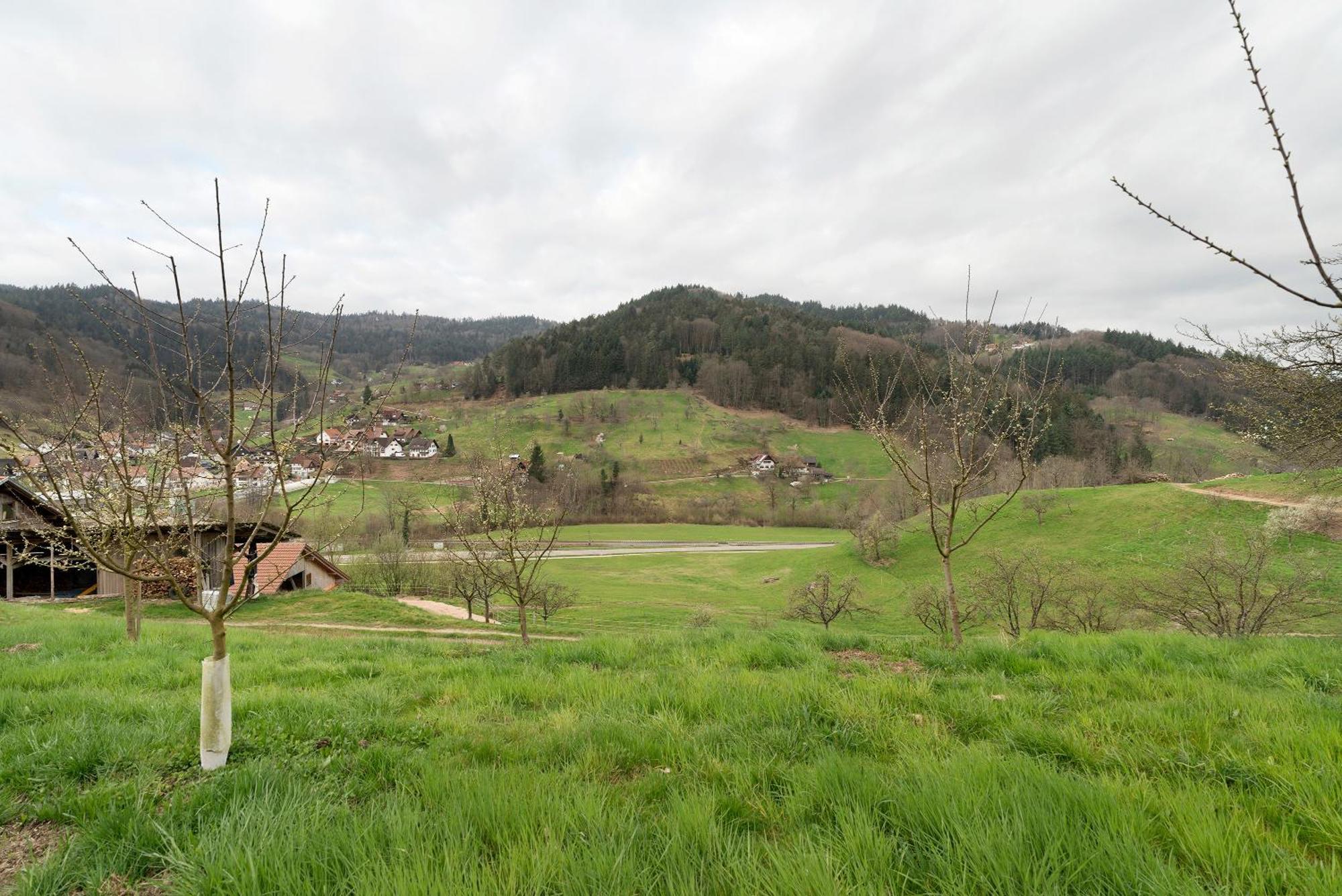 Haus Am Schroffen Daire Ottenhofen im Schwarzwald Dış mekan fotoğraf